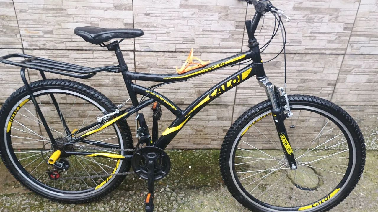 Bicicleta