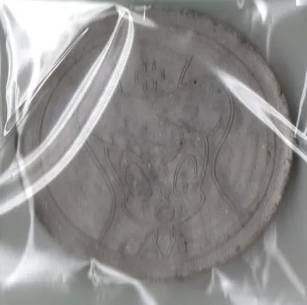 MASTER TAZO ELMA CHIPS - ENFERMEIRA TRANSPARENTE
