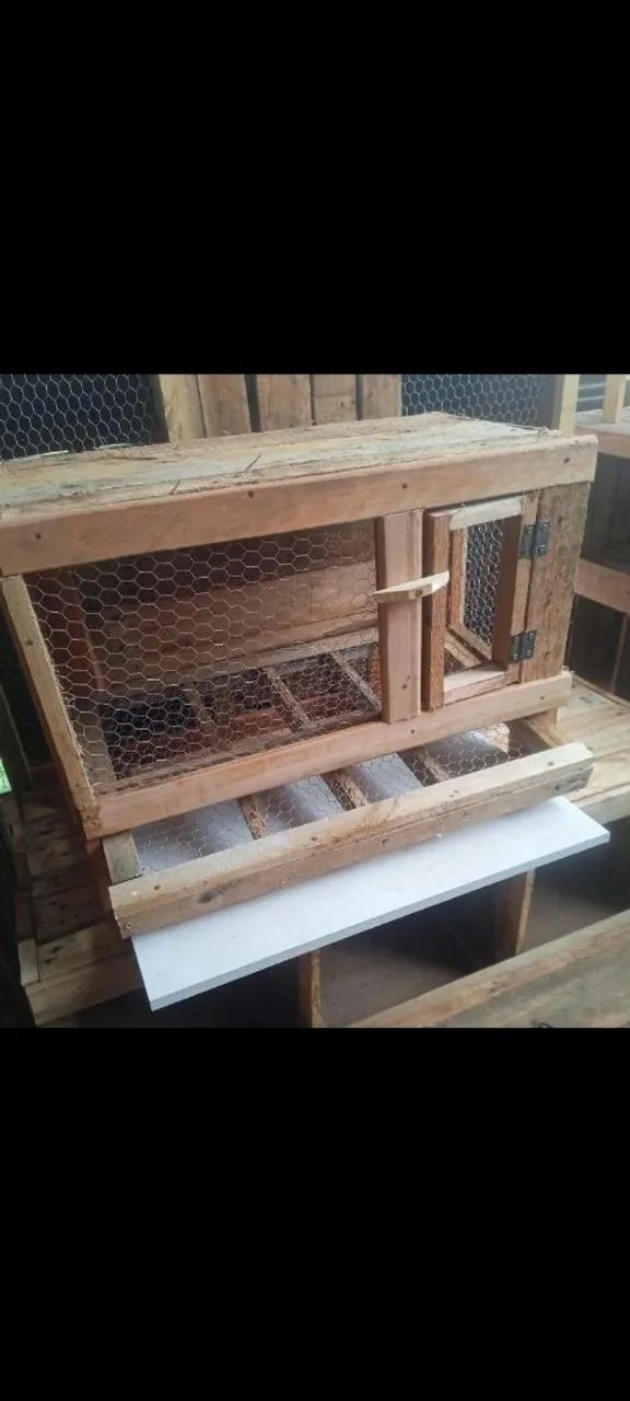 Gaiola para codornas com rolagem de ovos  - Foto 4