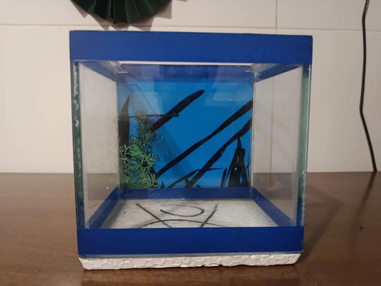 Aquário para Betta 