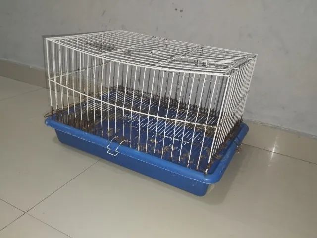 Gaiola - Foto 2
