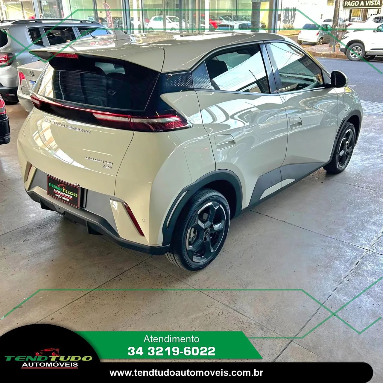BYD Dolphin Mini (Elétrico) 2025 - Foto 3