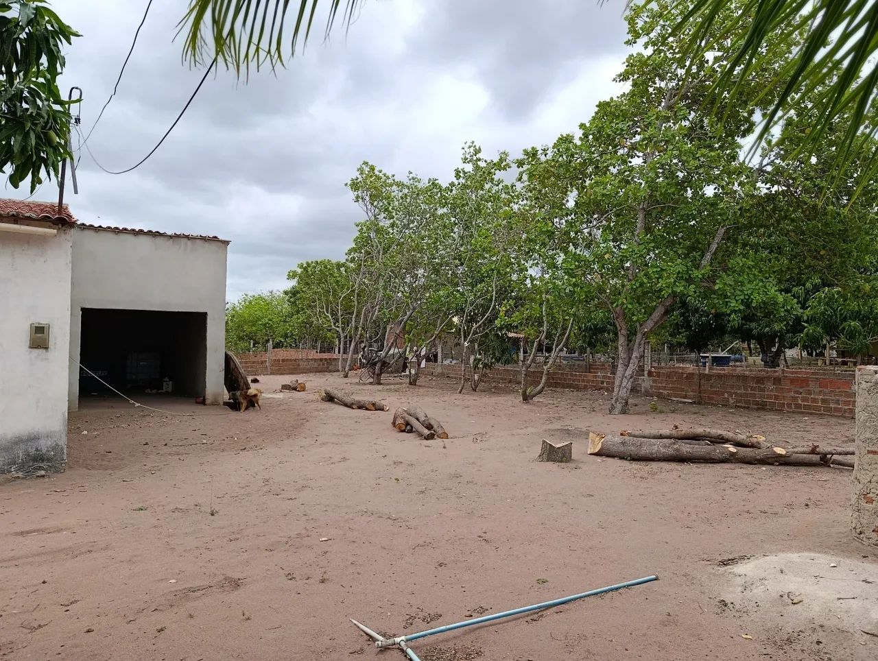 Chacara a venda  - Foto 4