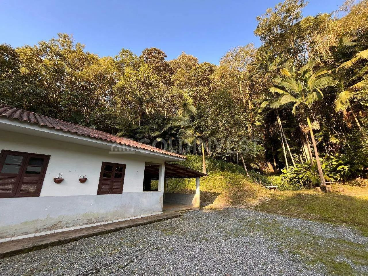 Sítio com 740.000m² no interior da cidade de Nova Trento!!! - Foto 4