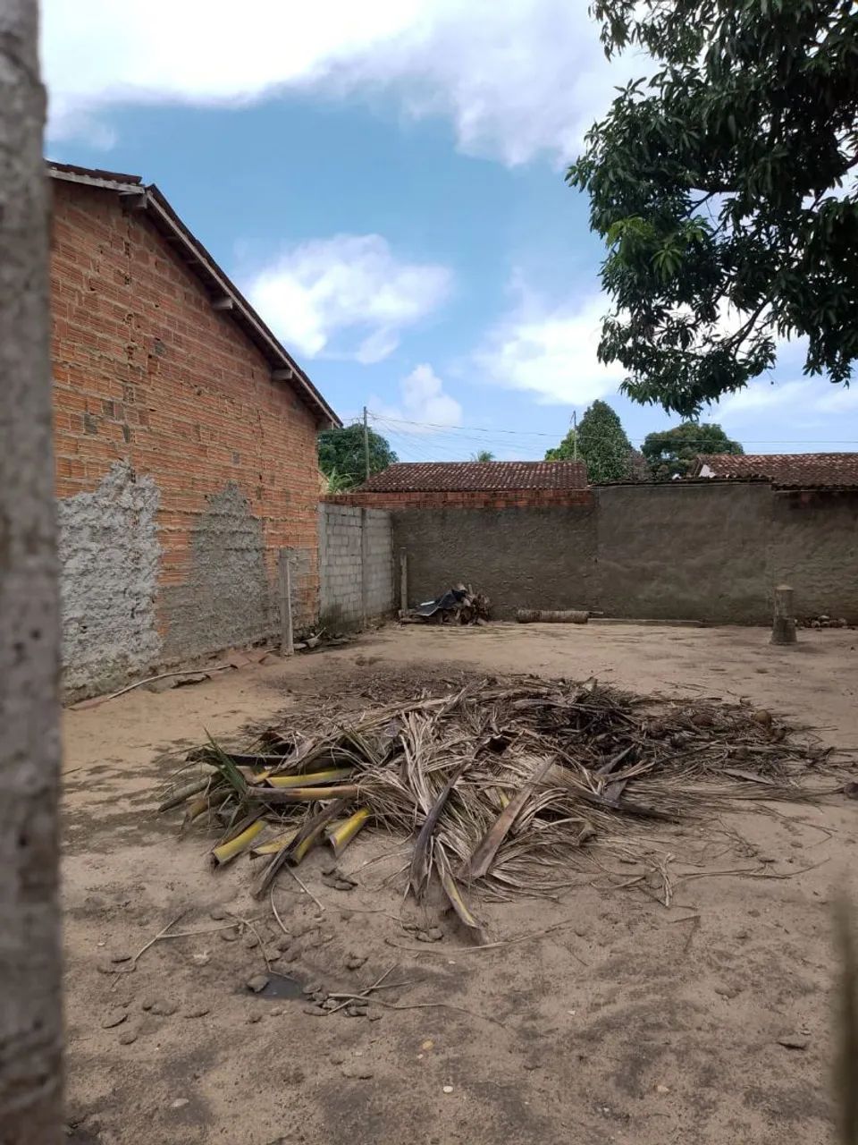 Denis