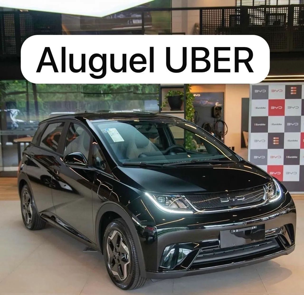 BYD Dolphin EV (Elétrico) 2026