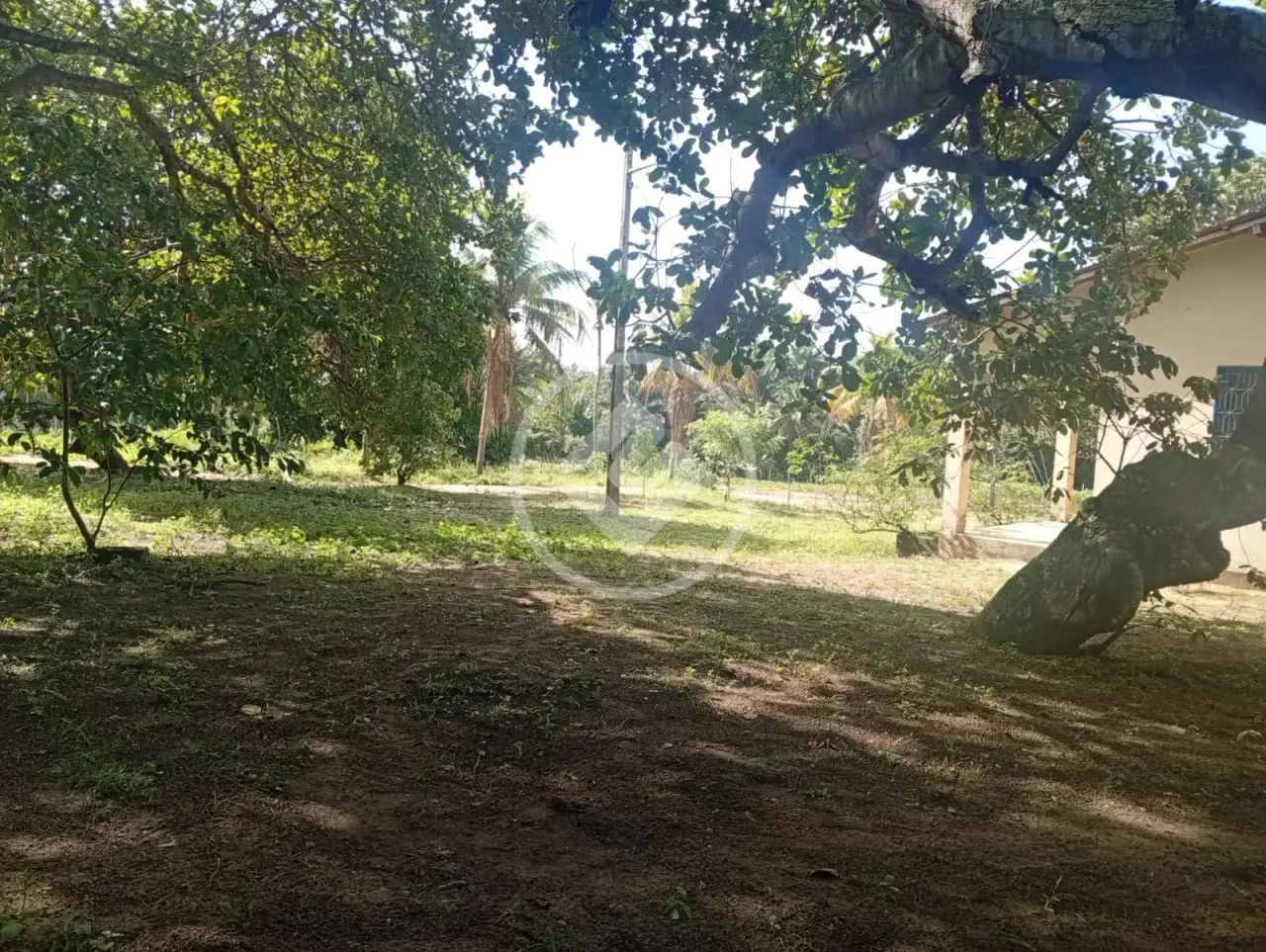 Sitio em Mamanguape codigo: 354105