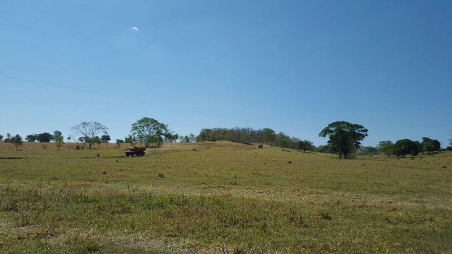 Fazenda com 20 alqueires no município de Inhumas. Excelente