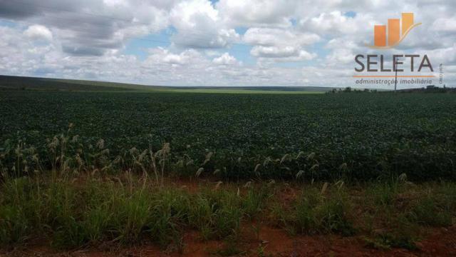 Fazenda rural à venda, zona rural, campo novo do parecis. - Foto 6