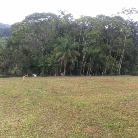 Linda área para Sítio, 10.000 m2 em ótima localização, pronto para construir - Foto 8