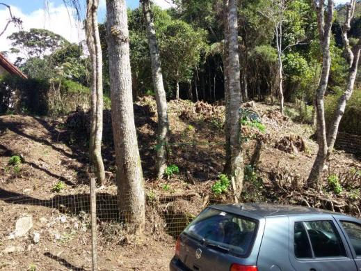 Terreno residencial à venda, Parque do Ingá, Teresópolis. - Foto 2