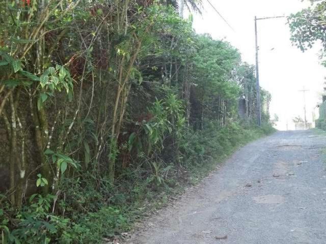 Na estrada das pedreiras,alugo chácara com 14.000 m² de área de verde. - Foto 18