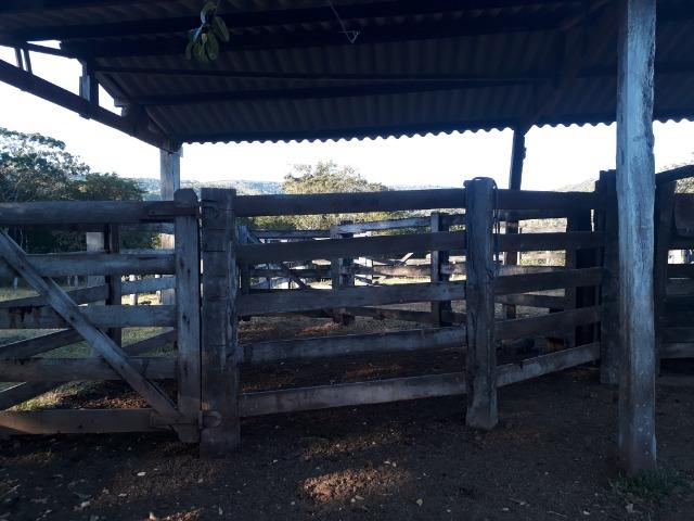 Fazenda com 866 Hectares em Santo Antonio apos a Agrovila das Palmeiras - Foto 6