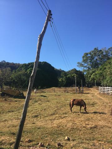 Vendo propriedade 703 hectares - Foto 11