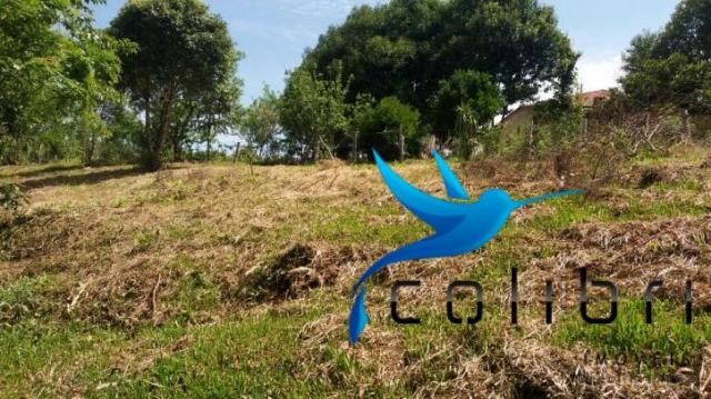 Linda Chácara com 2 casas e tanque em Agudos do Sul - PR - Foto 7