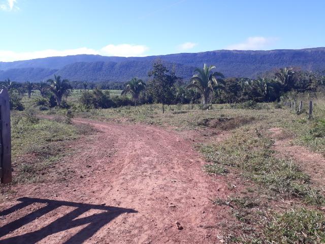 Fazenda com 784 hectares em Rosário Oeste MT - Foto 18