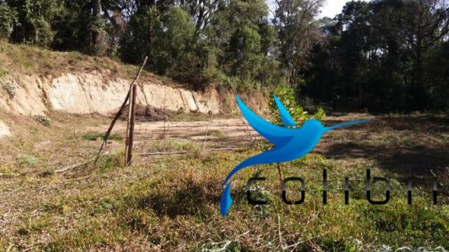 Terreno para formar chácara de lazer em agudos do sul - pr - Foto 12