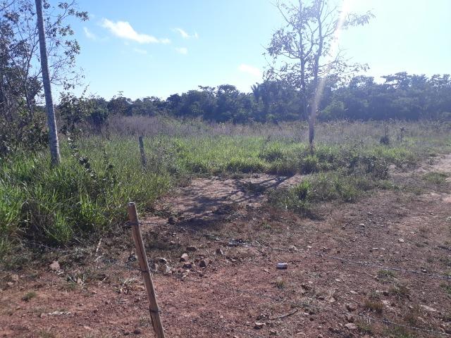 Fazenda com 784 hectares em Rosário Oeste MT - Foto 20