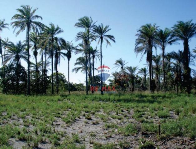 Área à venda, 2000000 m² - igrapiúna - igrapiúna/ba - Foto 3
