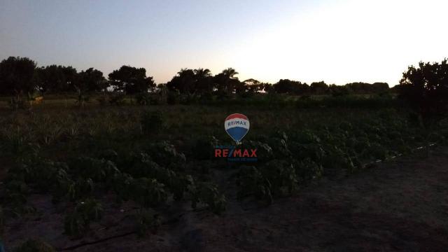 Re/max chave de ouro vende rancho produtivo com casa com 3 dormitórios à venda, 270 m² por - Foto 7