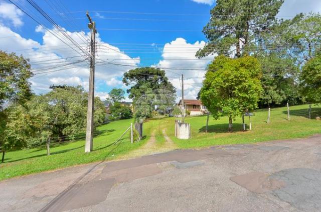 Terreno à venda em Uberaba, Curitiba cod:146250
