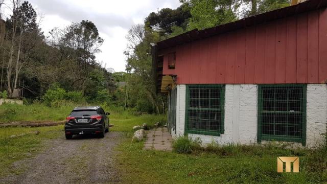 Terreno à venda em Bela vista, Caxias do sul cod:459 - Foto 6