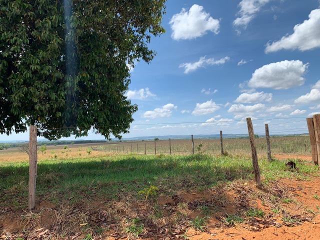 Fazenda Extra em Hidrolândia-GO. 40 km Goiânia - Foto 15