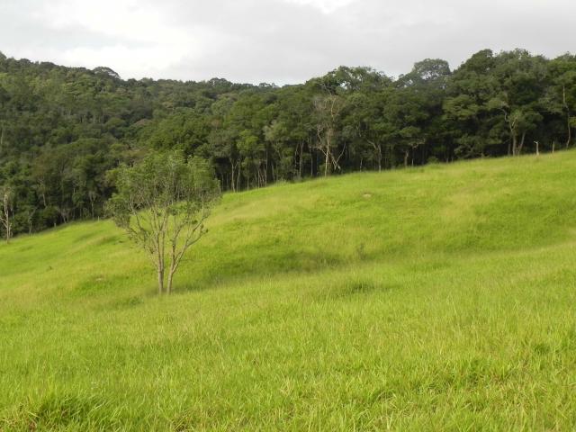 Agt-Lindos terrenos na promoção em Mairiporã,direto com dono. - Foto 12