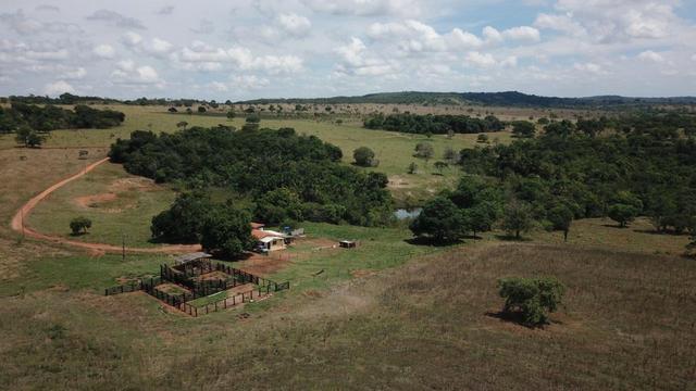 Fazenda Extra em Hidrolândia-GO. 40 km Goiânia - Foto 14