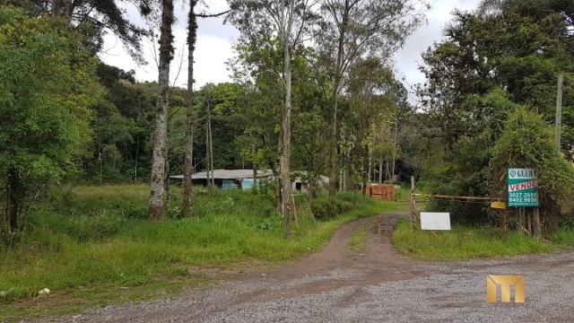 Terreno à venda em Bela vista, Caxias do sul cod:459 - Foto 15