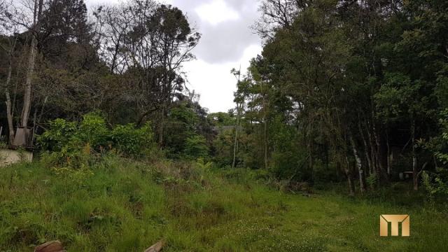 Terreno à venda em Bela vista, Caxias do sul cod:459