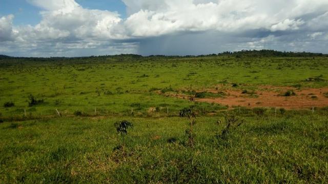Fazenda 7.600 ha Norte MT - Foto 3