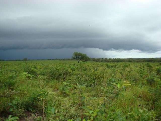 Fazenda com 1.006 hectares, com sede, aberta, para soja e milho - Foto 3