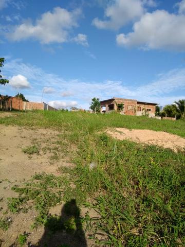 Lindo terreno na colina - Foto 5