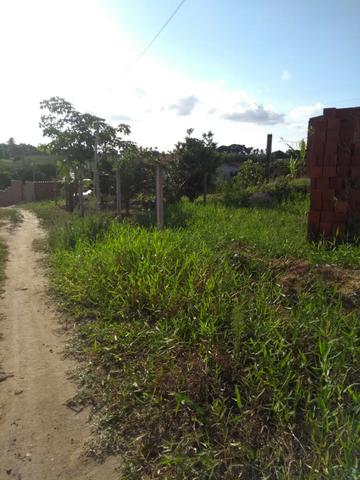 Lindo terreno na colina - Foto 6