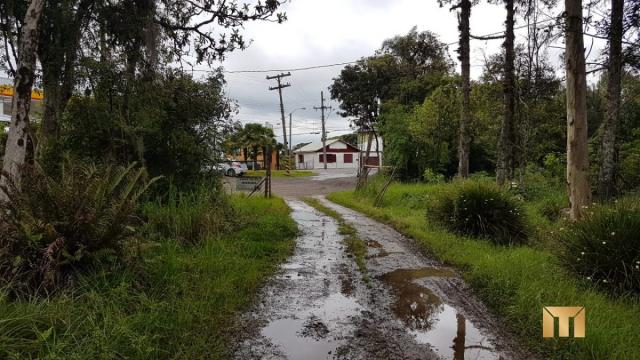 Terreno à venda em Bela vista, Caxias do sul cod:459 - Foto 7