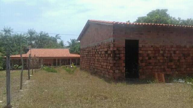 Sítio em panaquatira são José de ribamar - Foto 3