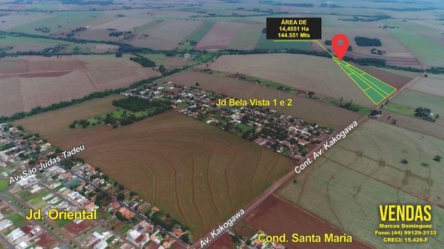 Sitio com 14,45 Ha ( 144.551 mts ) Prox. Perímetro Urbano. - Foto 4