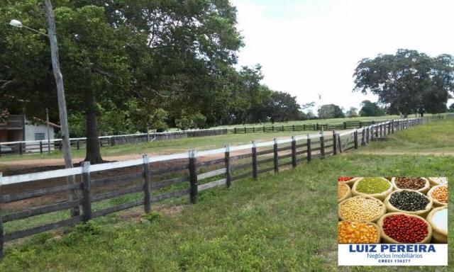 FAZENDA A VENDA DE 906 ALQUEIRÕES EM ARAGUAÇU - TO (Dupla Aptidão) - Foto 19
