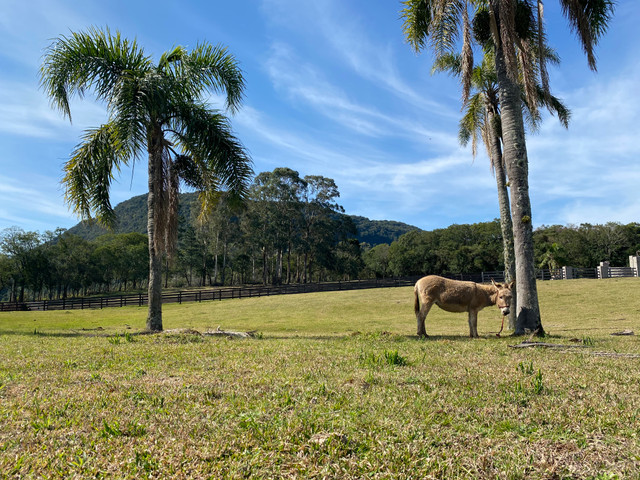 Condomínio rural na serra gaúcha - Foto 14