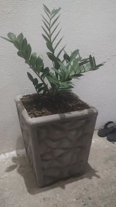 Jarro 3D64299972606467124