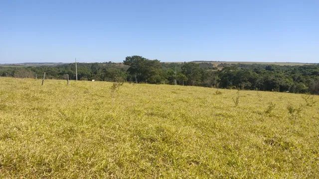 CHÁCARA A VENDA  2.000 MTS ANÁPOLIS GO !DIRETO COM PROPRIETÁRIO! - Foto 13