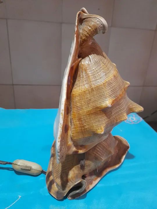 Abajour Concha. Anos 50/60  - Foto 4