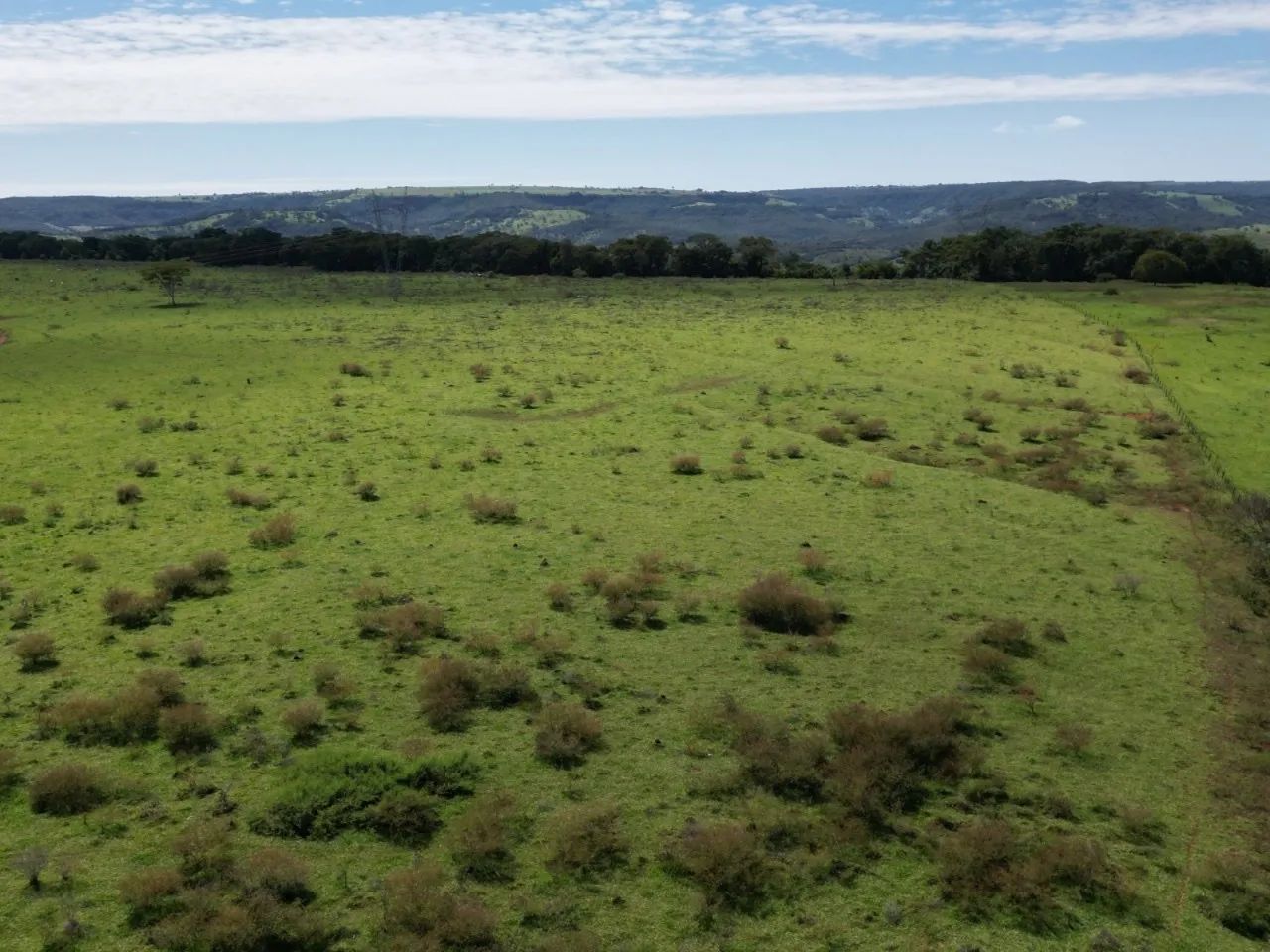 Fazenda em tupaciguara  - Foto 4