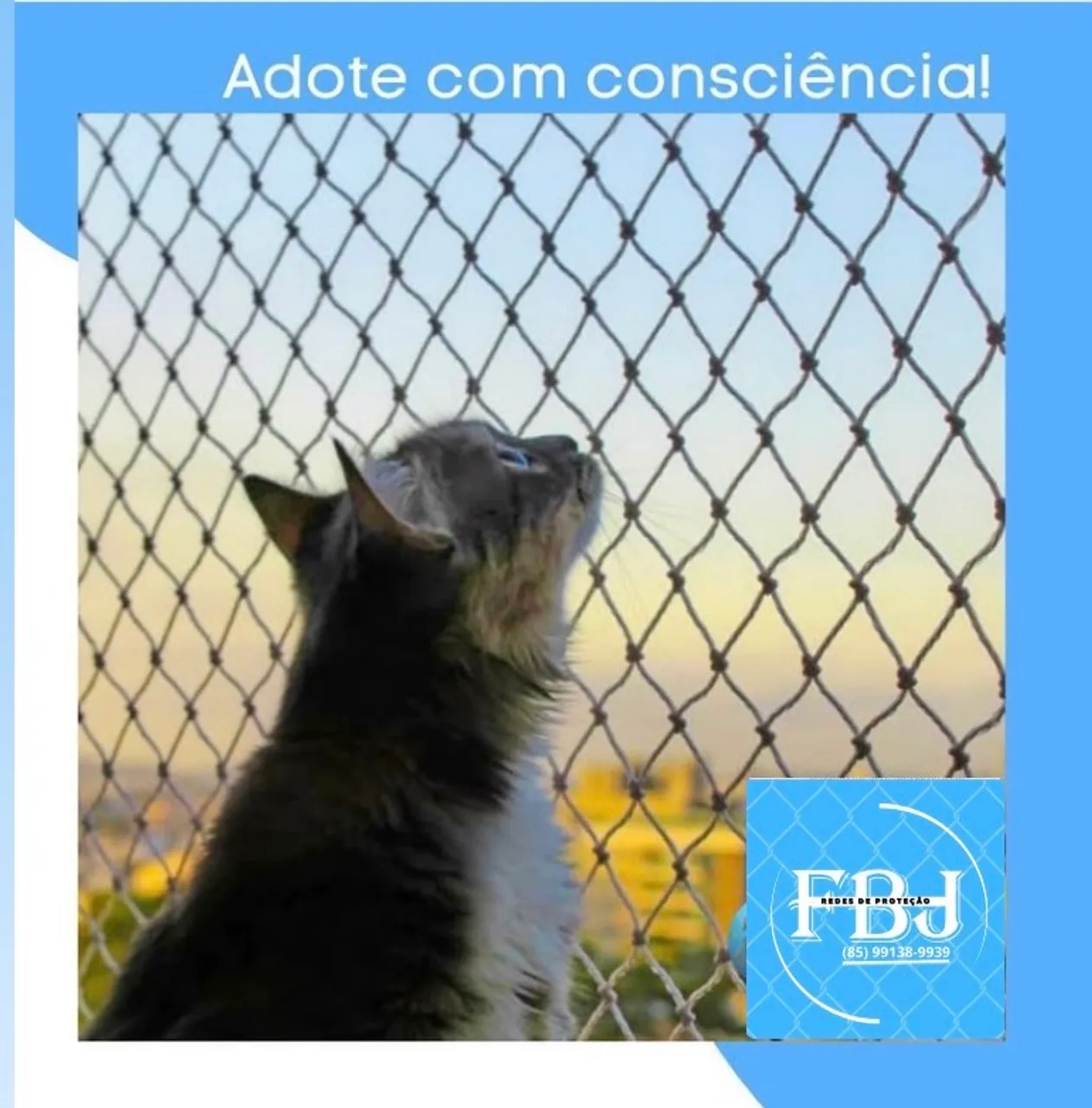 Redes de proteção
