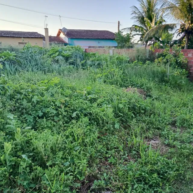 Lotes no centro da cidade de São José de Mipibu- RN
