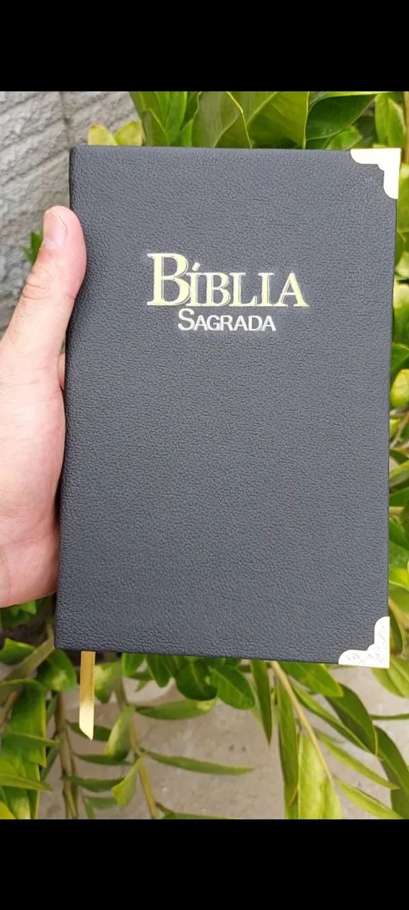 Reforma de Bíblia - Foto 2