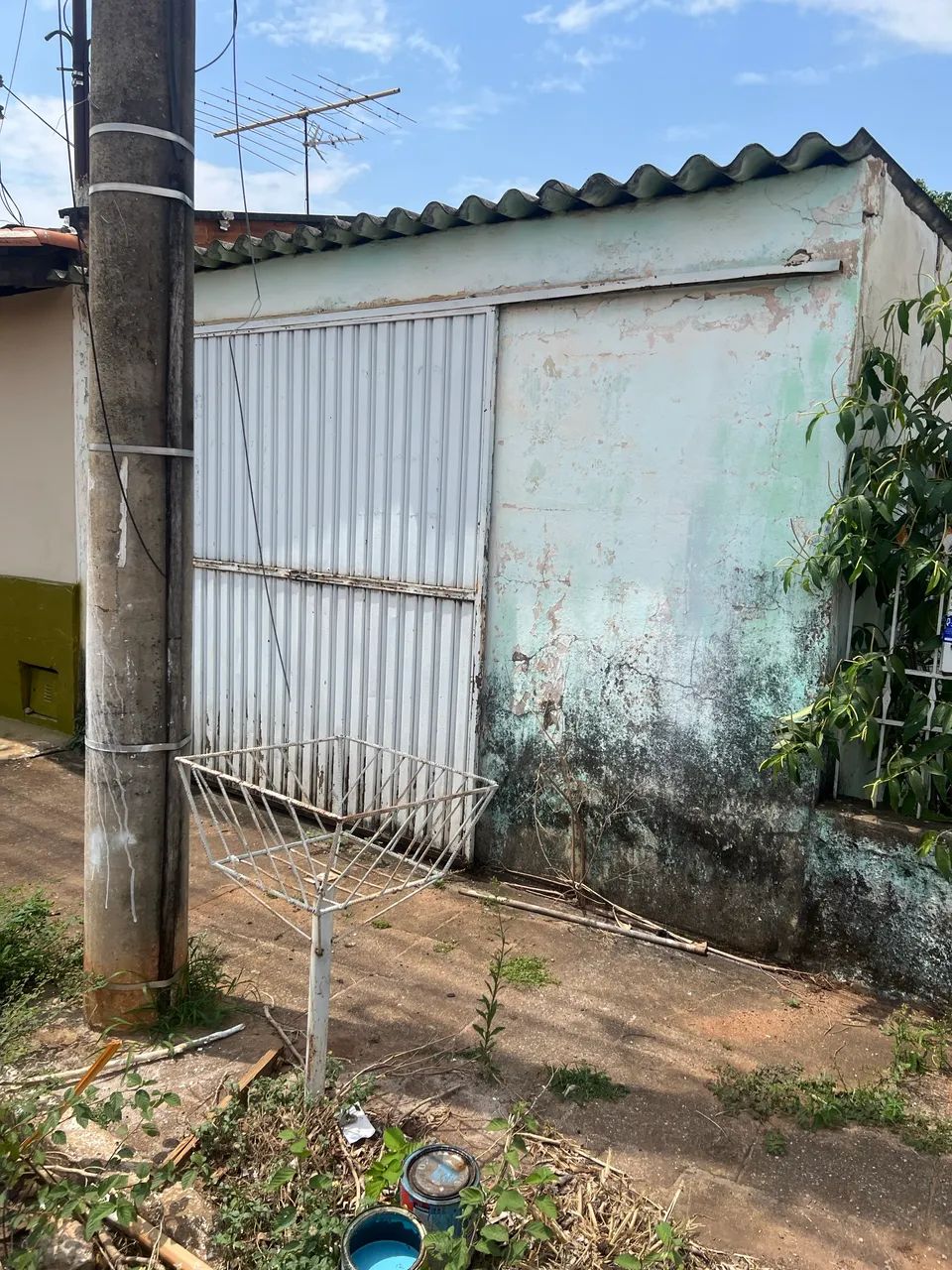 Foto - Goiânia - Feliz