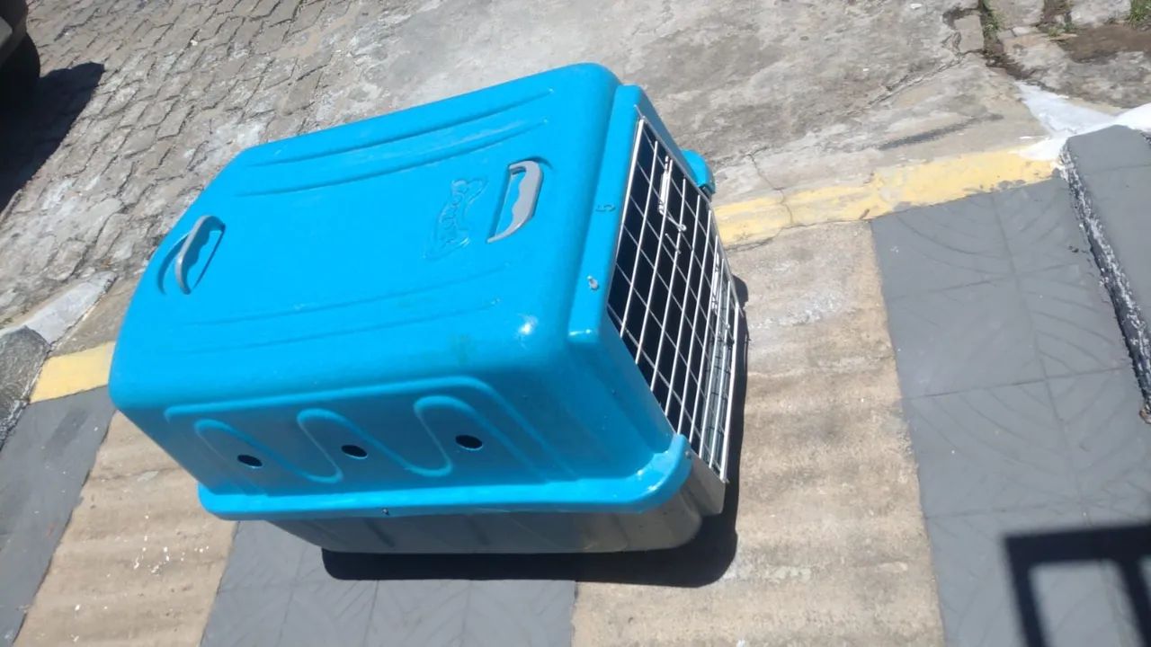 Caixa de Transporte para Pets - Foto 5