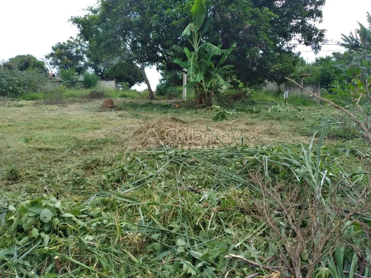 terreno - Parque dos Pomares - Campinas